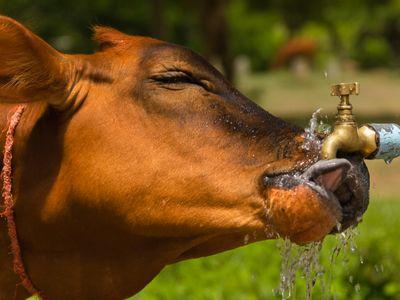 Haustechnik Trinkwasser-Trennung